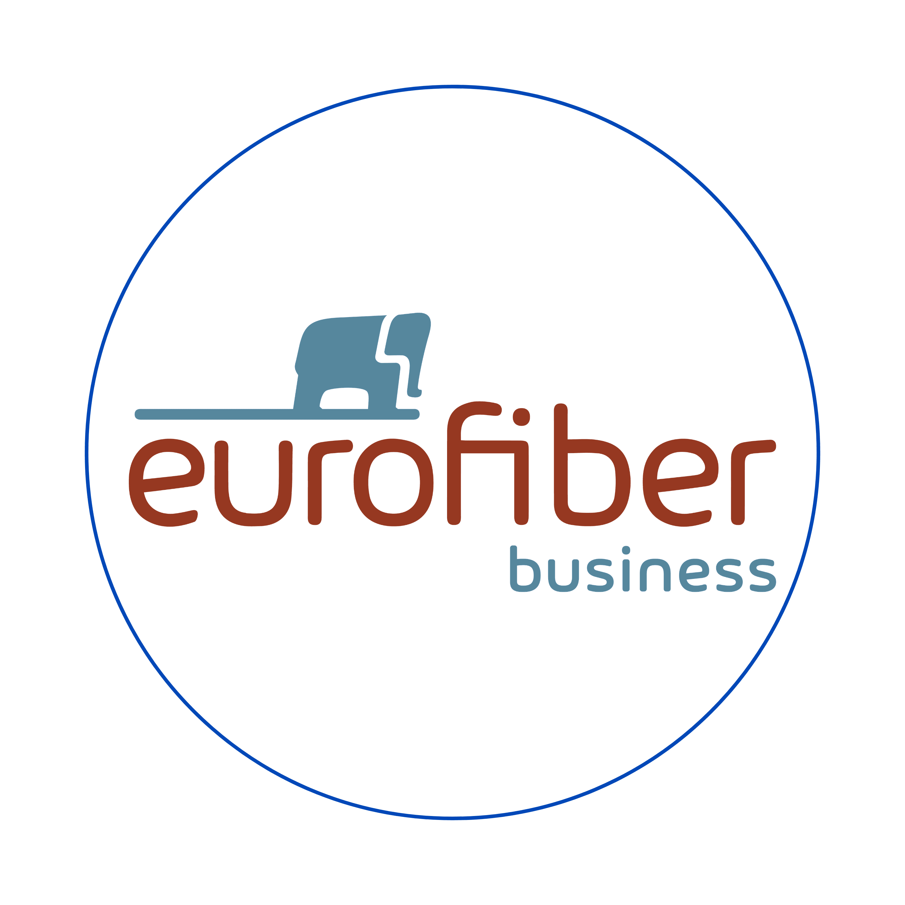 EUROFIBER BUSINESS