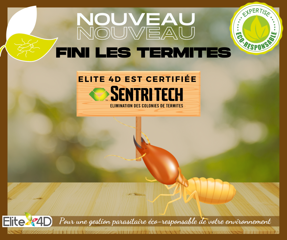 Elite 4D + Sentri Tech : le ghostbuster des termites